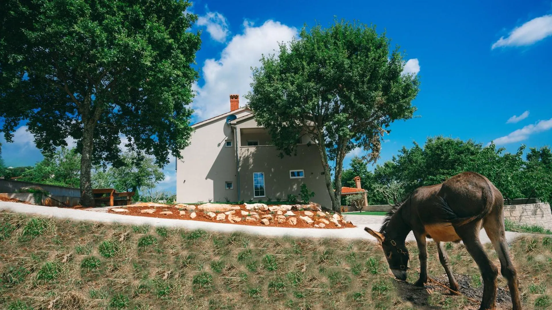 Casa San Vital Vizinada Croatia